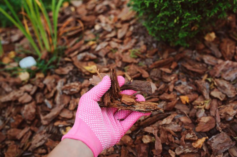 Making the Most of Garden Mulch EcoParent magazine