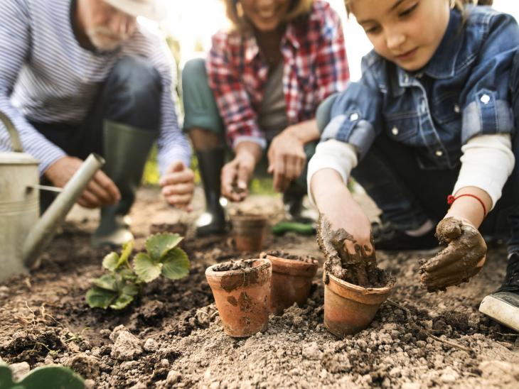 Play with Mud and Grow a Garden EcoParent magazine