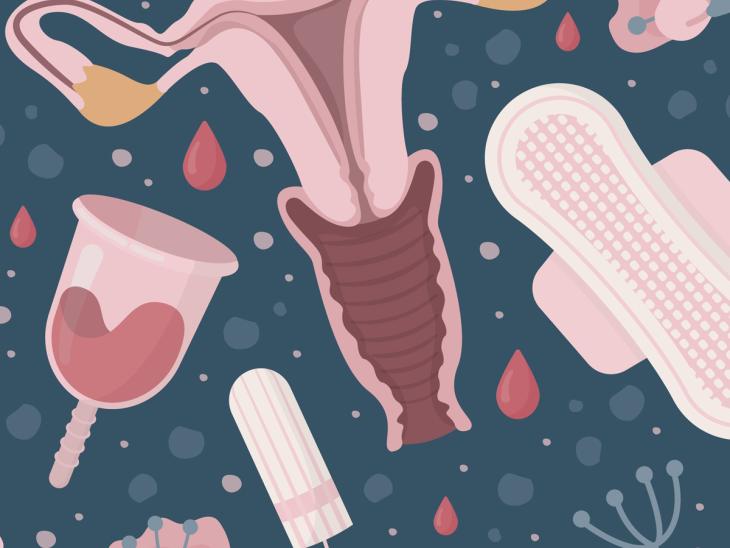Understanding Your Period: The Menstrual Cycle | EcoParent magazine
